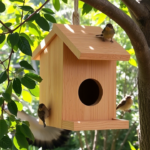 Making Wooden Birdhouses: Best DIY Plans, Creative Designs & Easy Ideas